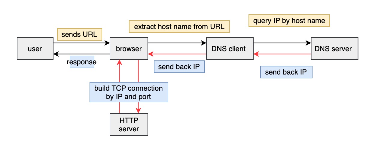 DNS work process